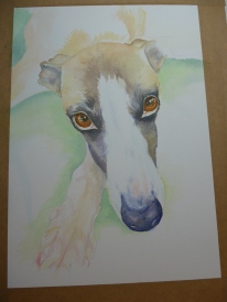Whippet painting Work In Progress by artist Diane Young