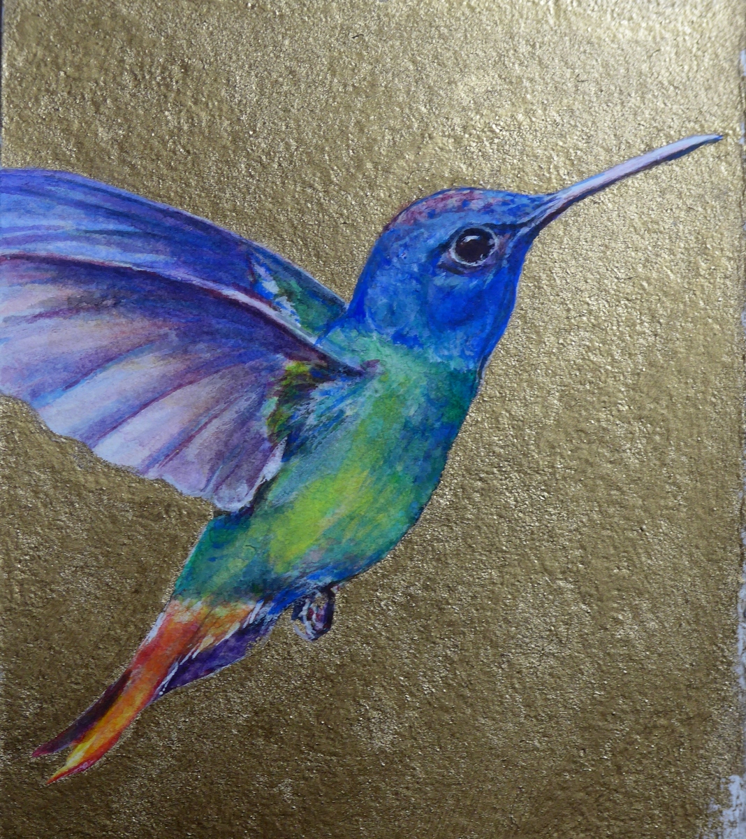 Painting of a Humming Bird on a gold background by artist Diane Young of Manic Illustrations @ Stroud