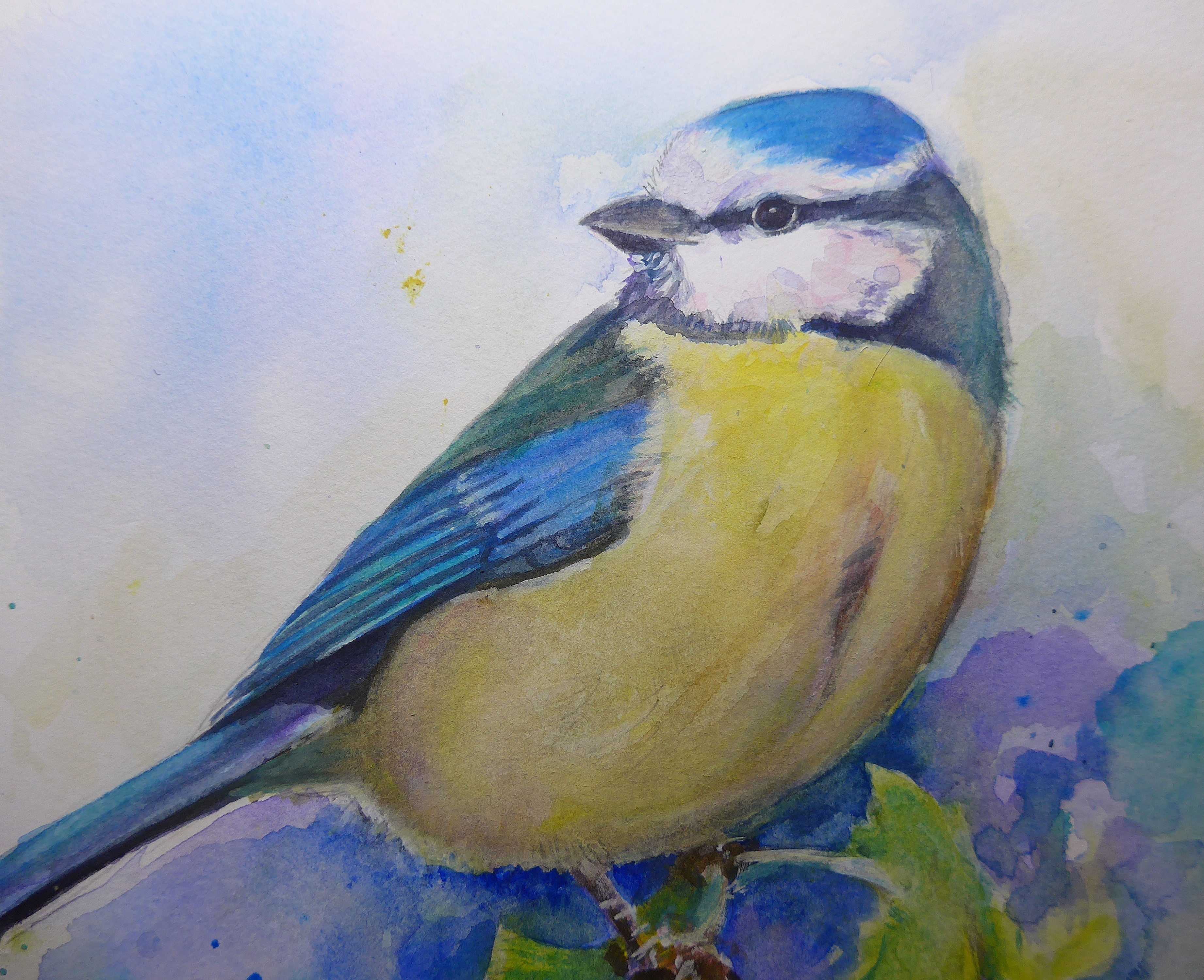 Blue Tit Chickadee painting by artist Diane Young