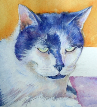 Painting of a cat with a light approach to painting by artist Diane Young