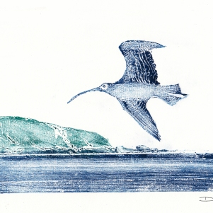 Printmaker Print showing Curlew flying over Lower Burnmouth by artist Diane Young